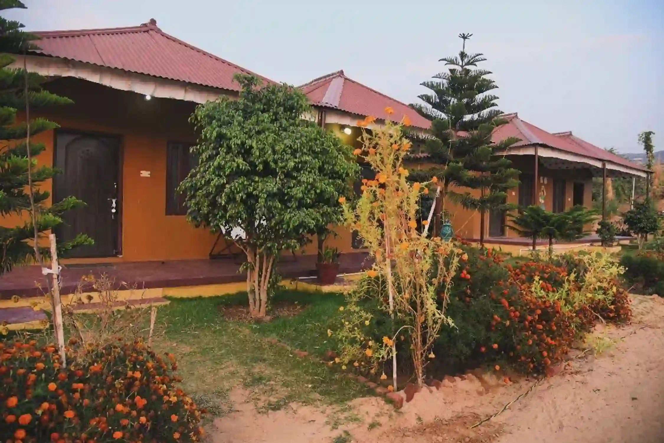 Student Study Tour Packages Odisha