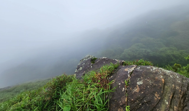 Tadiandamol Trek from Bangalore