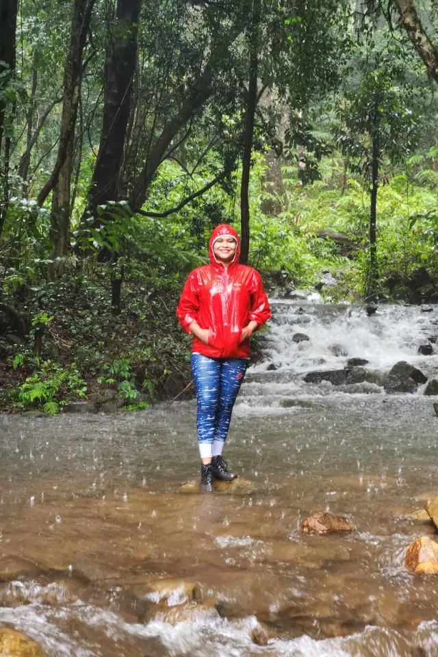 Tadiandamol Trek from Bangalore