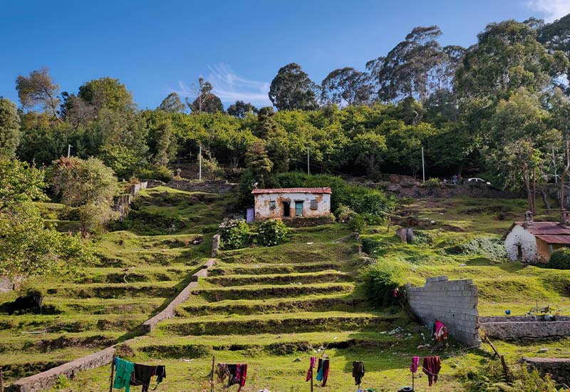 Kodaikanal Tour Package for Family