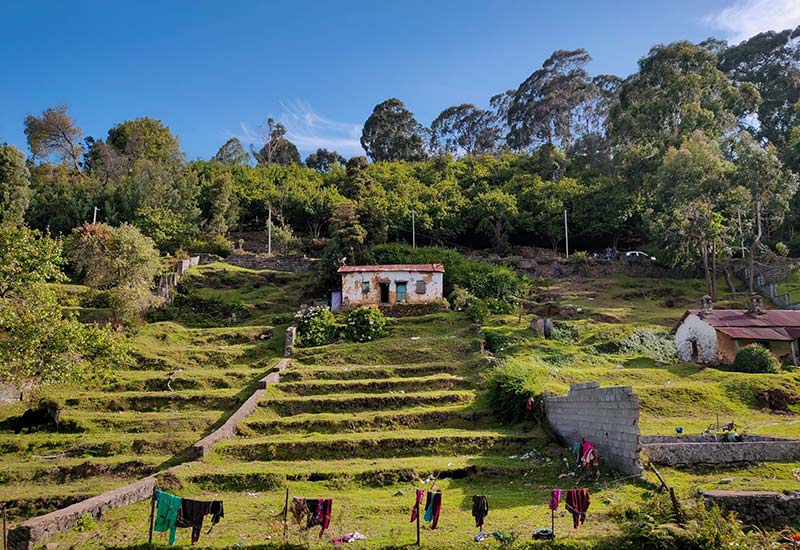 Coimbatore Ooty Kodaikanal Tour Package