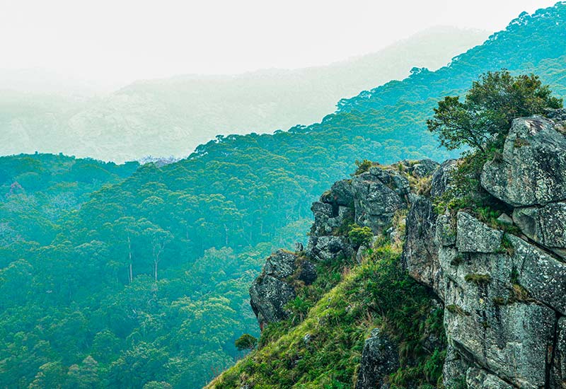 Ooty Kodaikanal Tour Package from Chennai