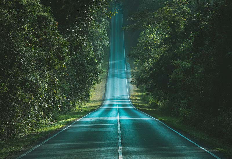 Coimbatore Ooty Kodaikanal Tour Package