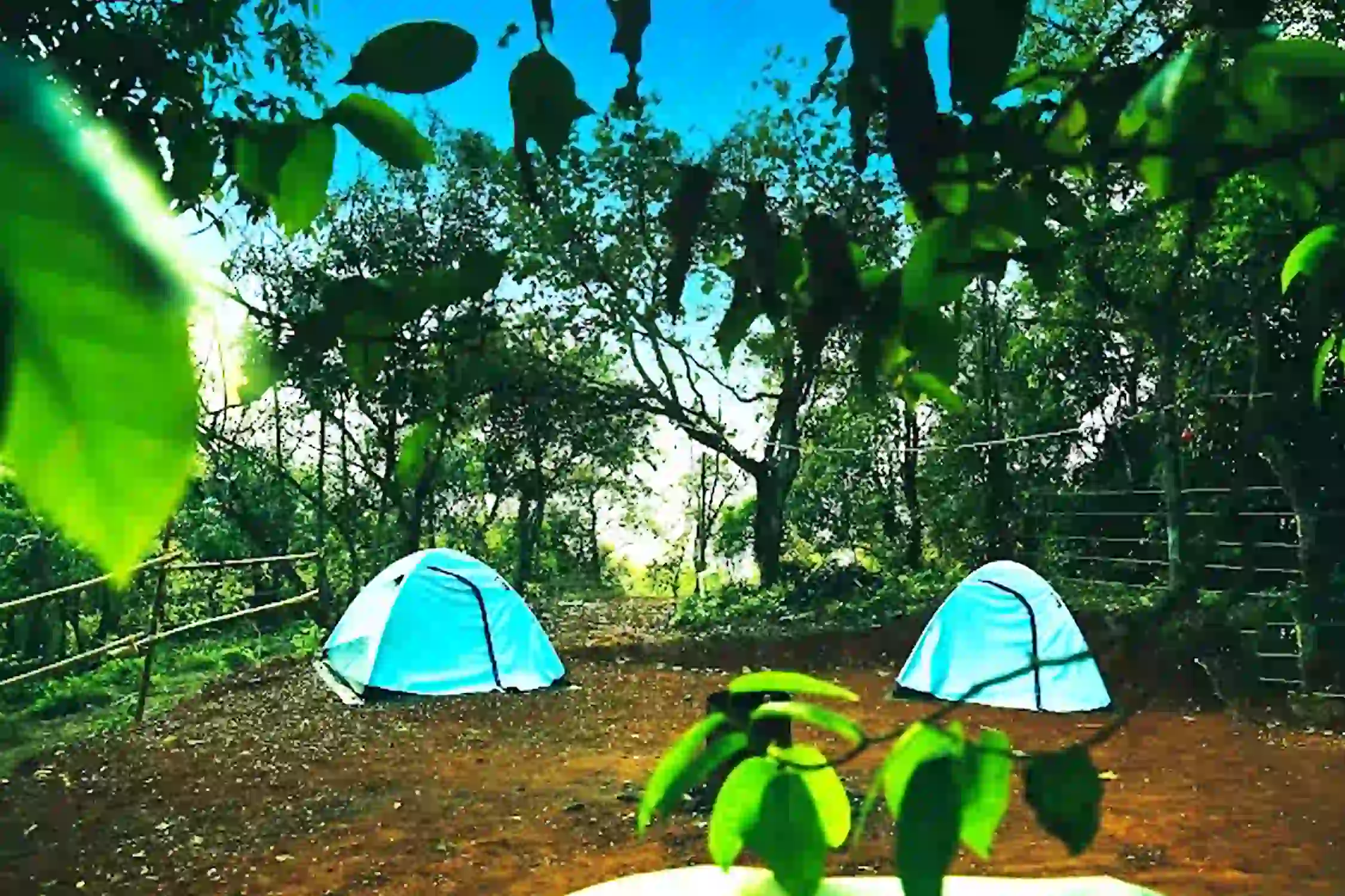 Tent Inn Wayanad