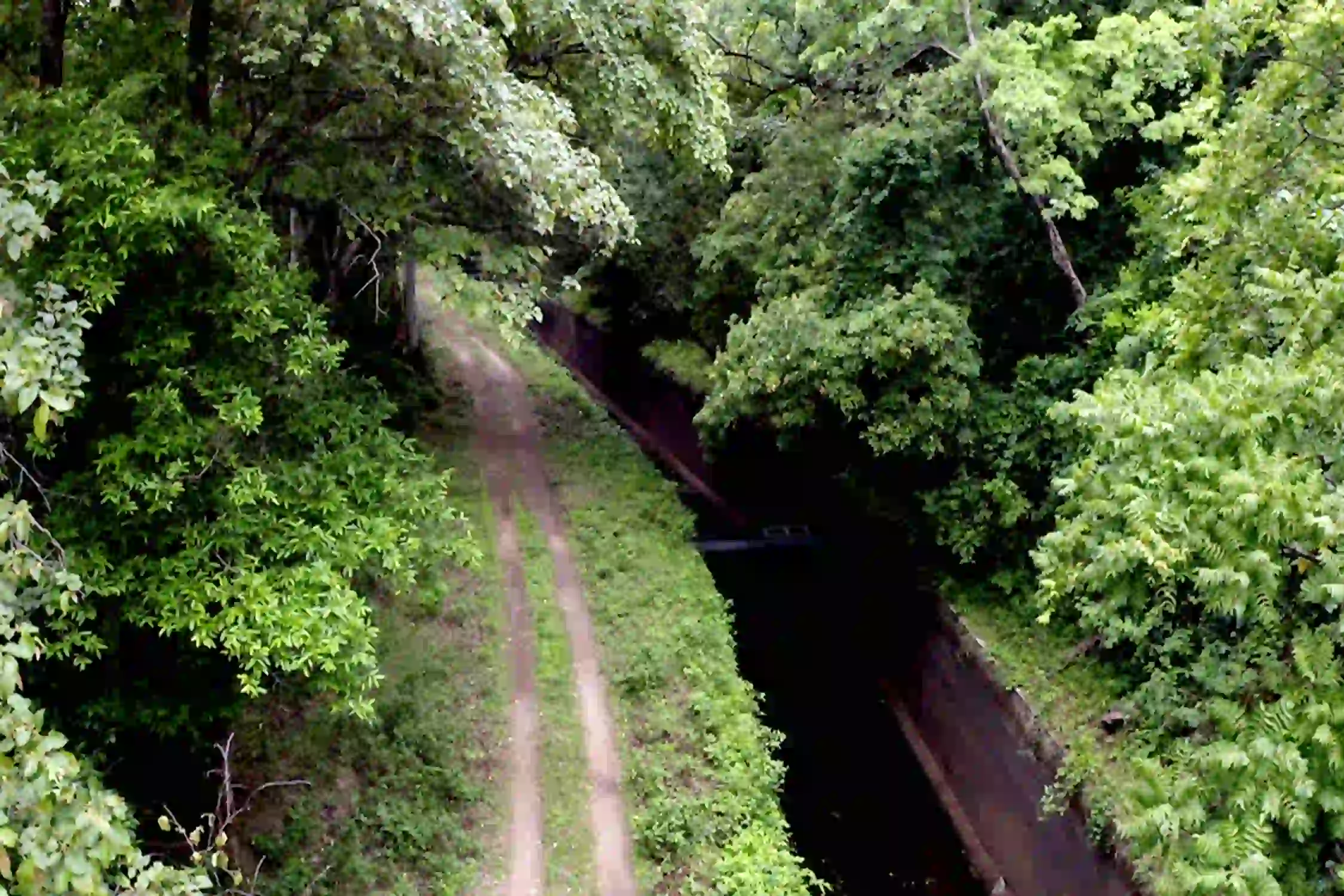 Trek to Aliyar Canal Bank