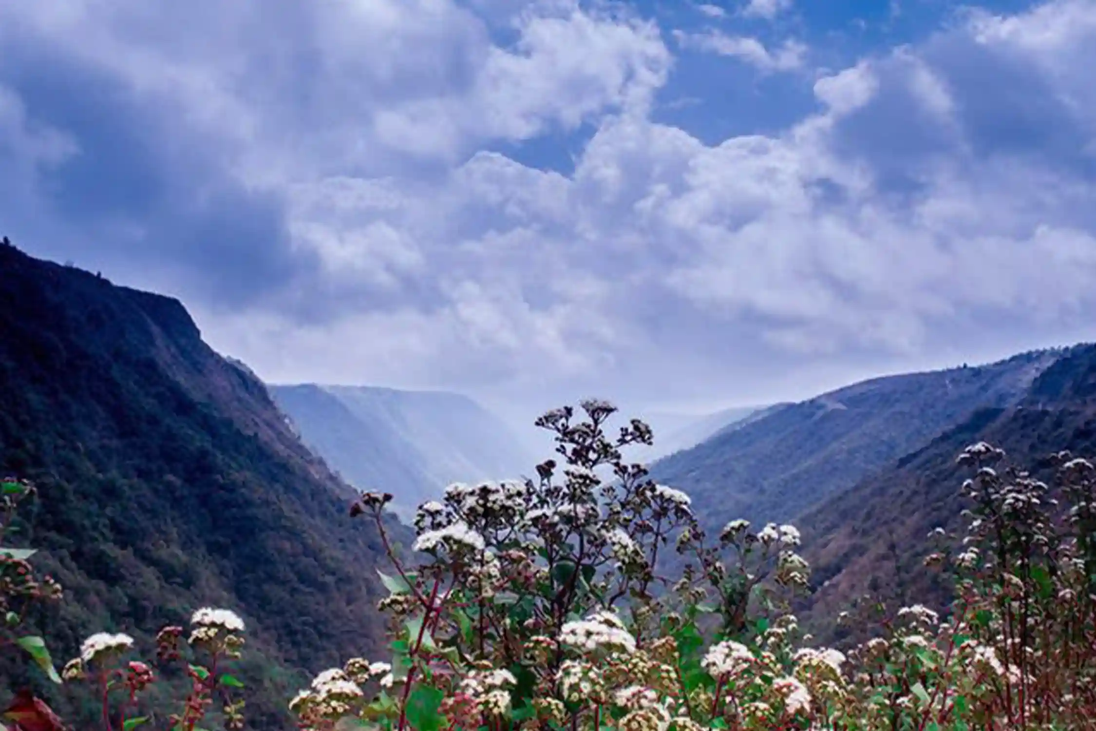 Trek to Chinna Suruli
