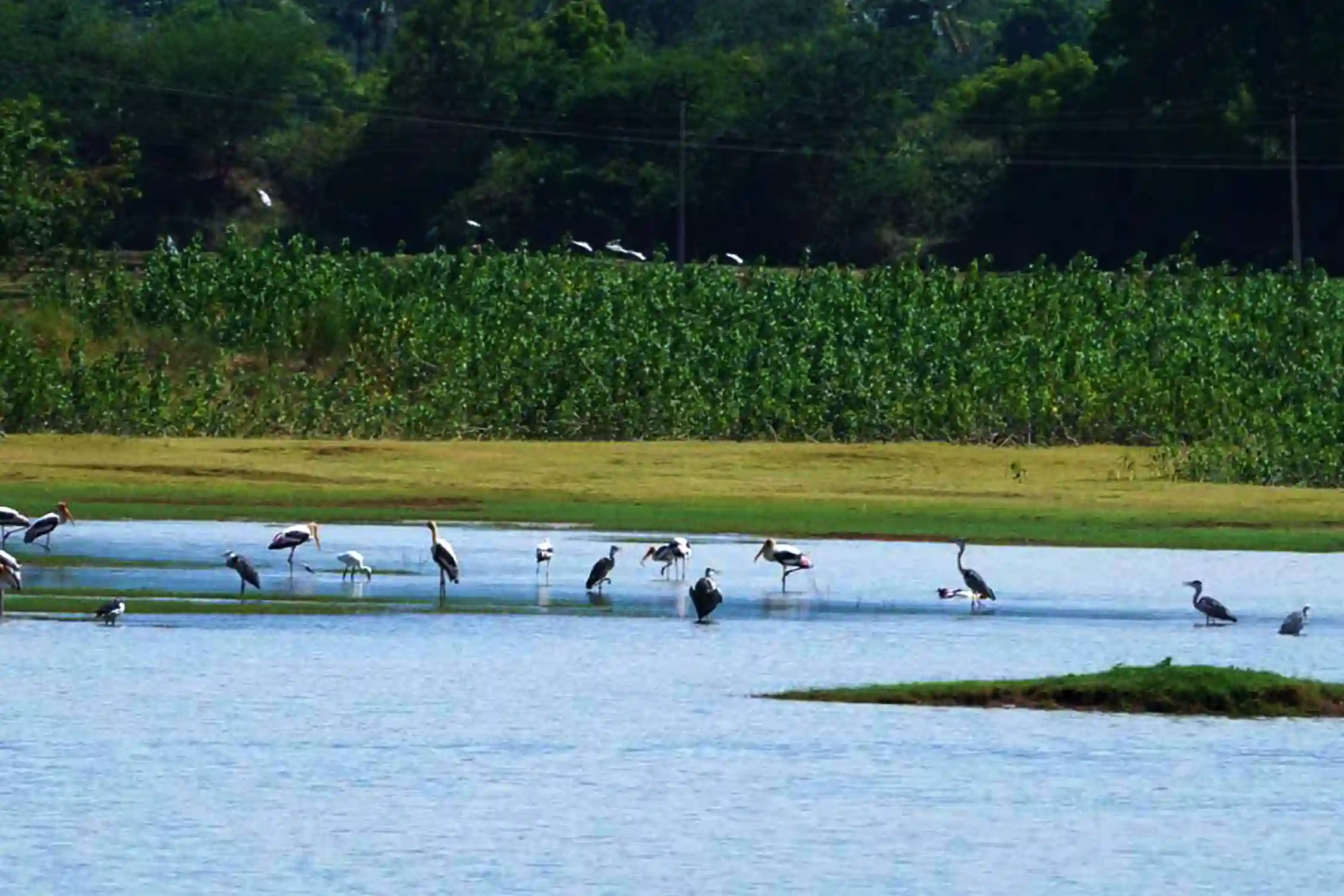 Trek to Karaiyar Moolakasam