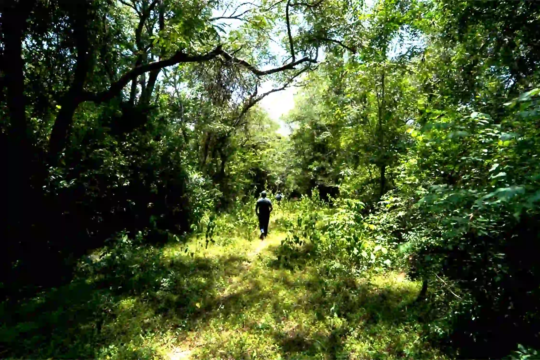 Trek to Karaiyar Moolakasam