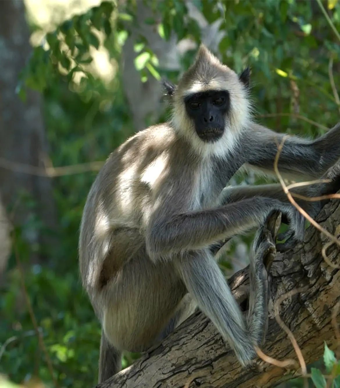 Trek to Karaiyar Moolakasam