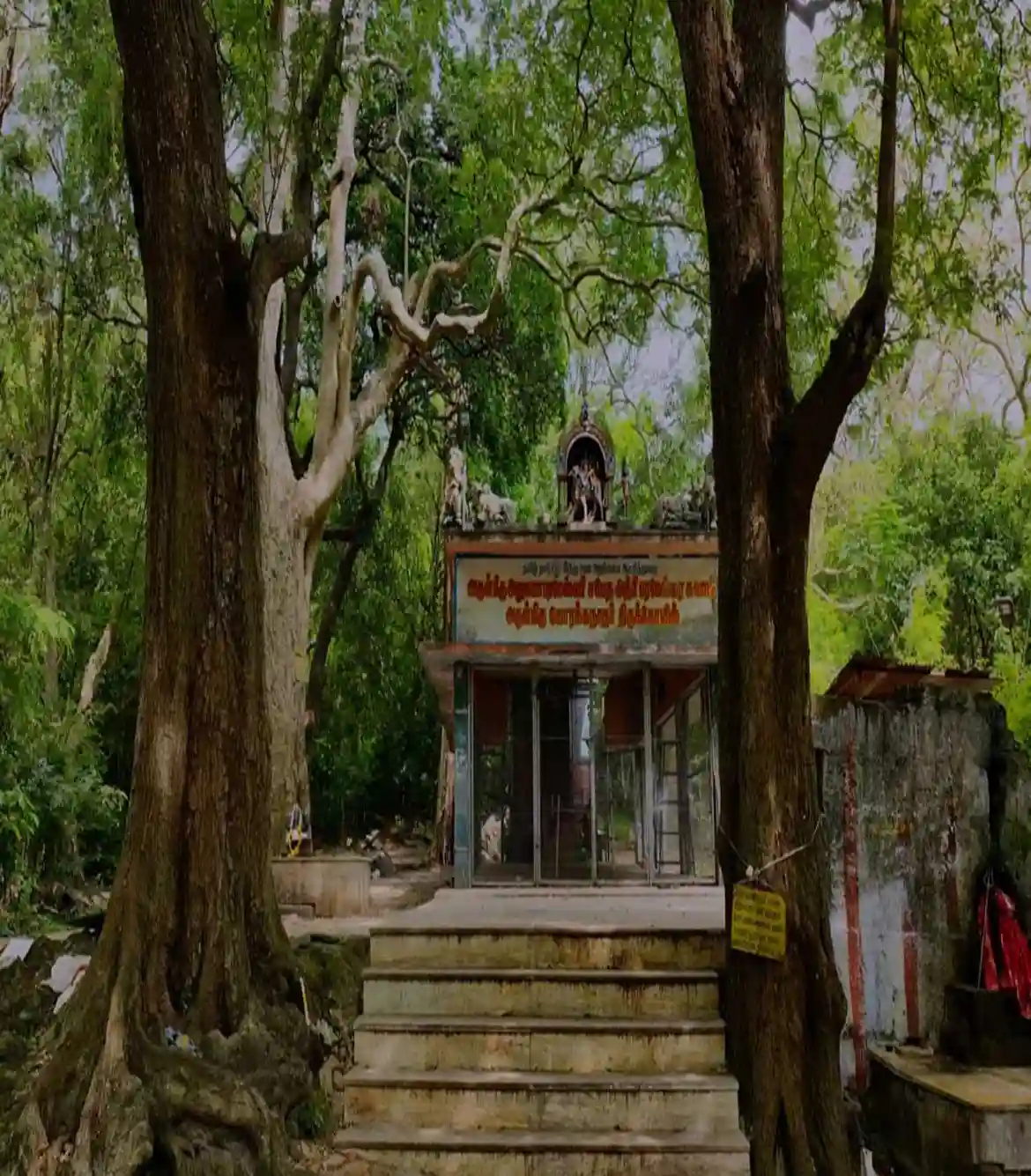 Trek to Korakkanathar Koil