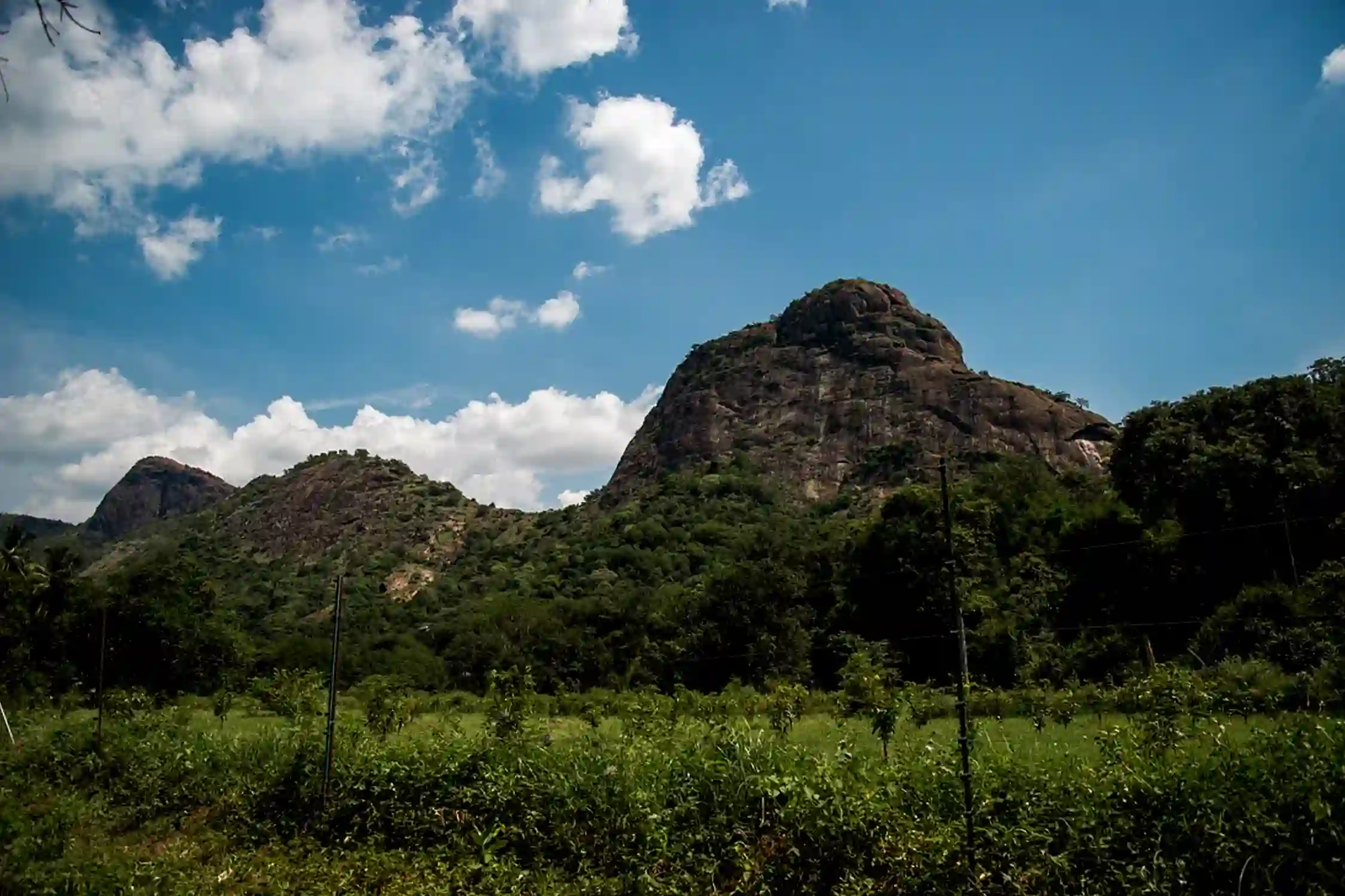 Trek to Shenbagathoppu