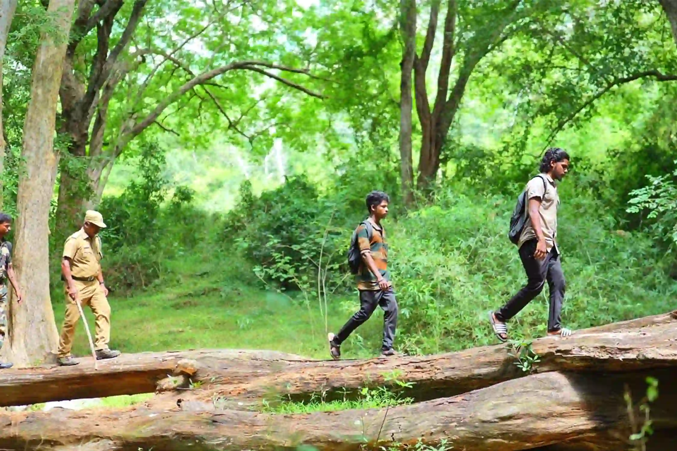 Trek to Shenbagathoppu