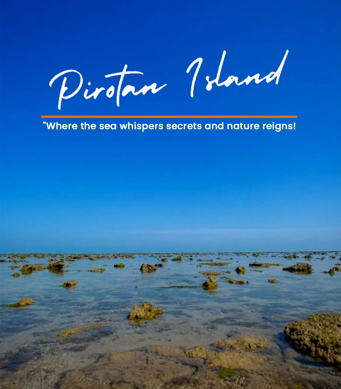 One Day Rajkot to Pirotan Island Trip