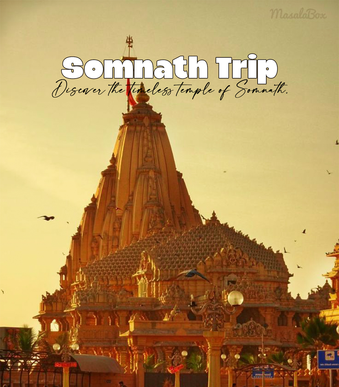 One Day Diu to Somnath Trip