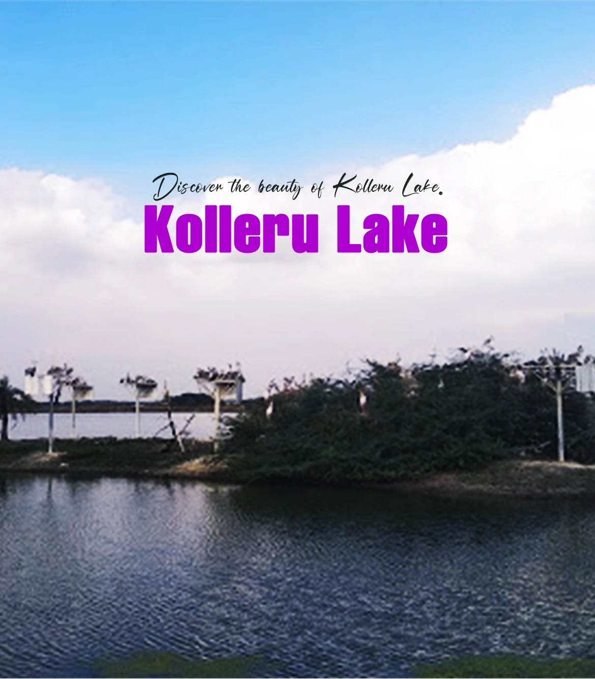 Vijaywada to Kolleru Lake Day Trip