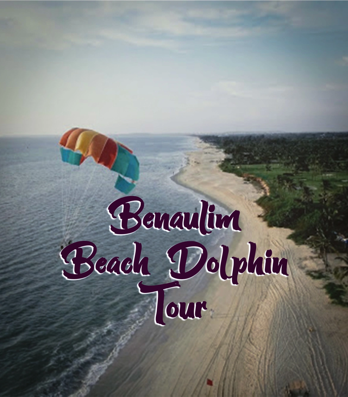 Benaulim Beach Dolphin Tour