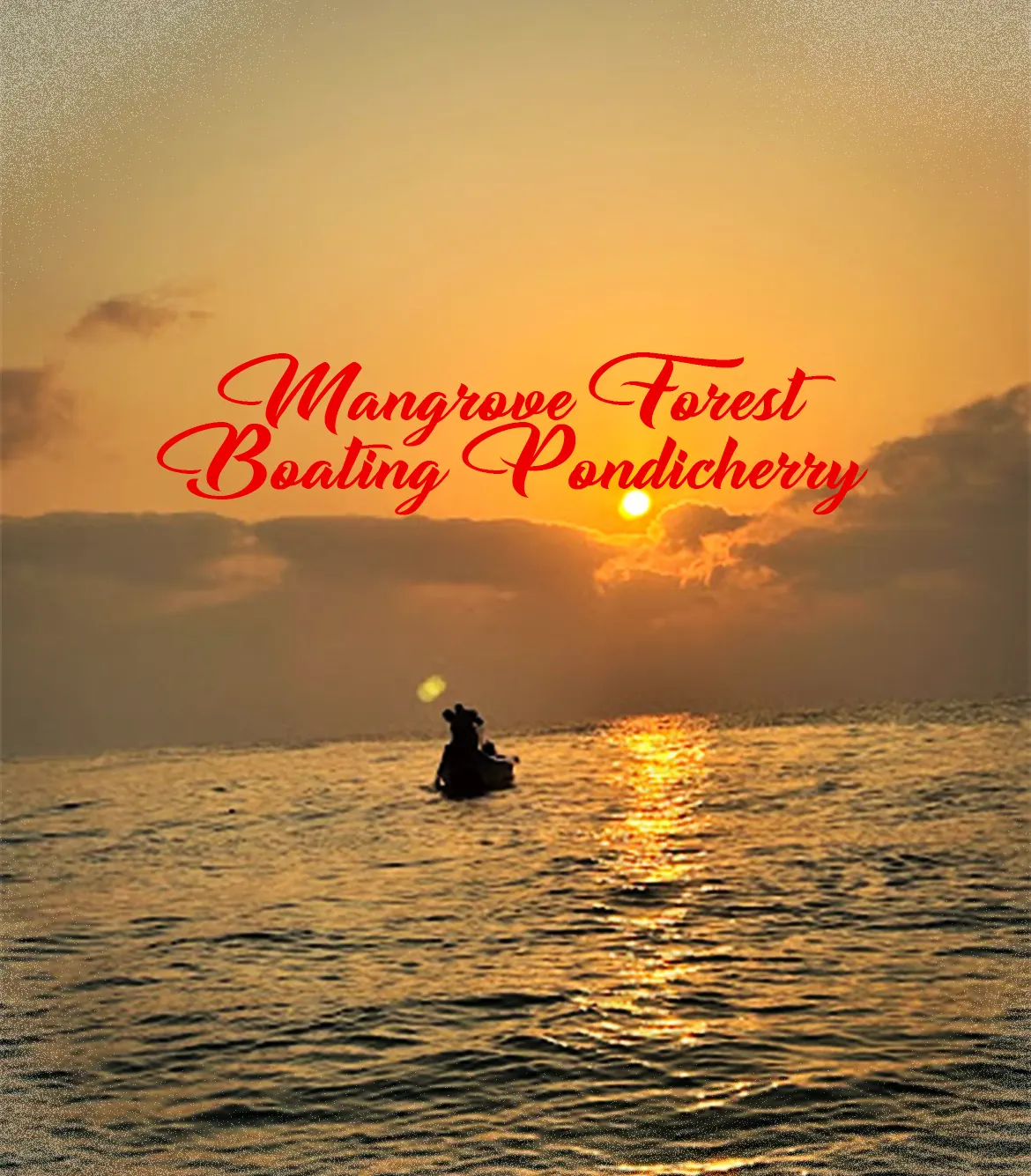 Mangrove Forest Boating Pondicherry