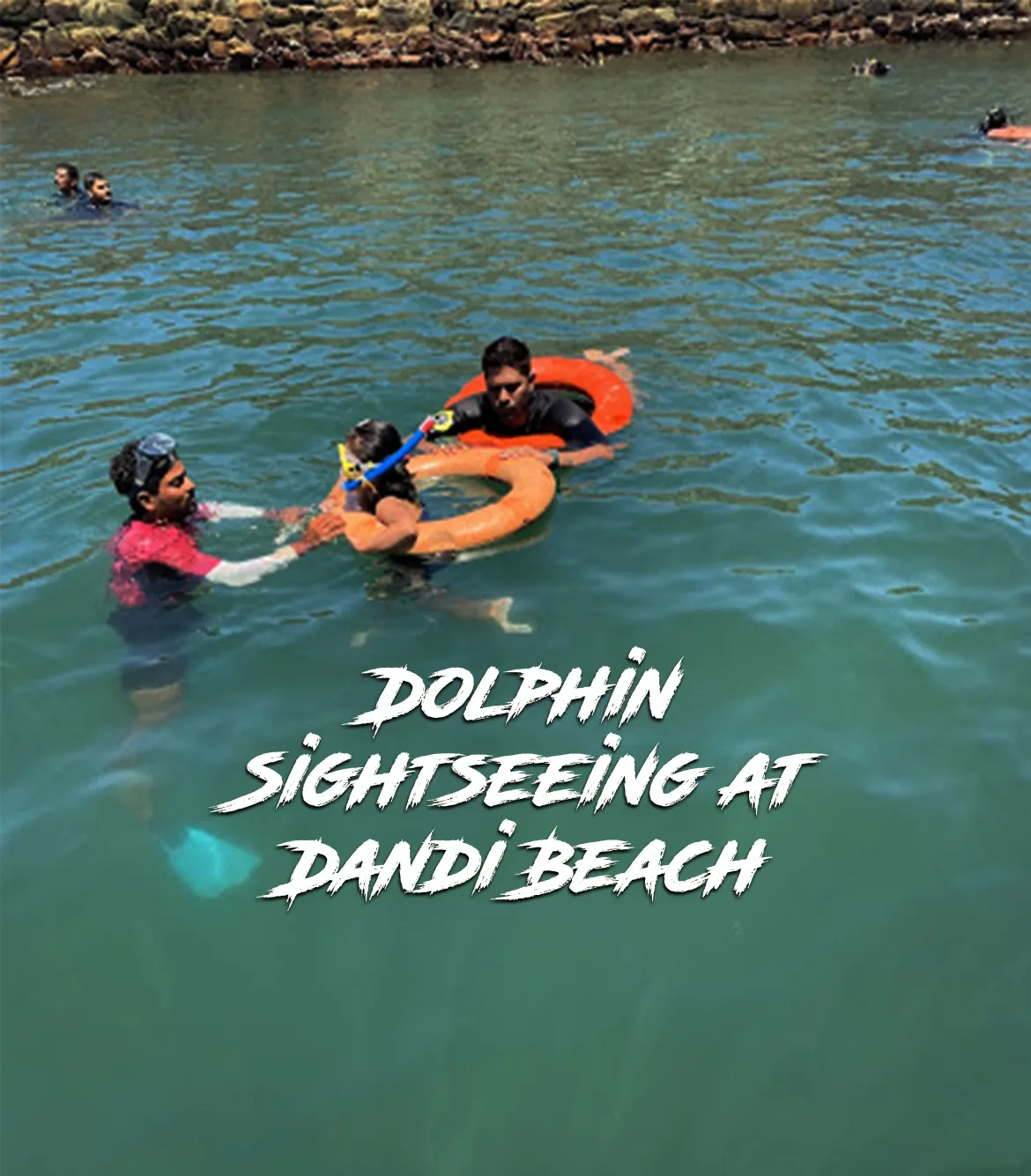 Dolphin Sightseeing at Dandi Beach