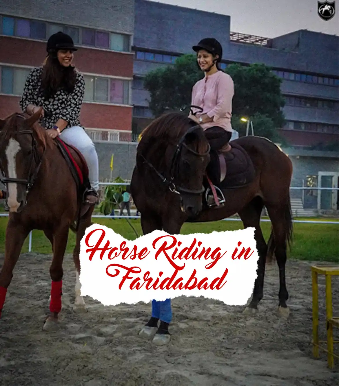 Horse Riding in Faridabad