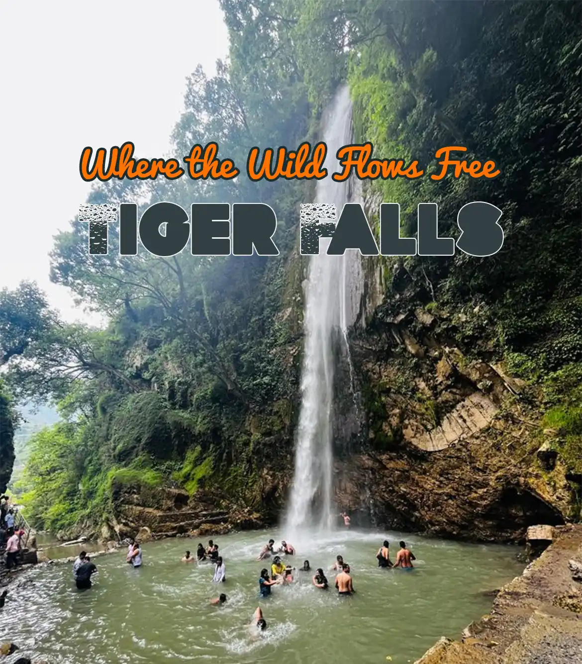 Haridwar to Tiger Falls Day Trip