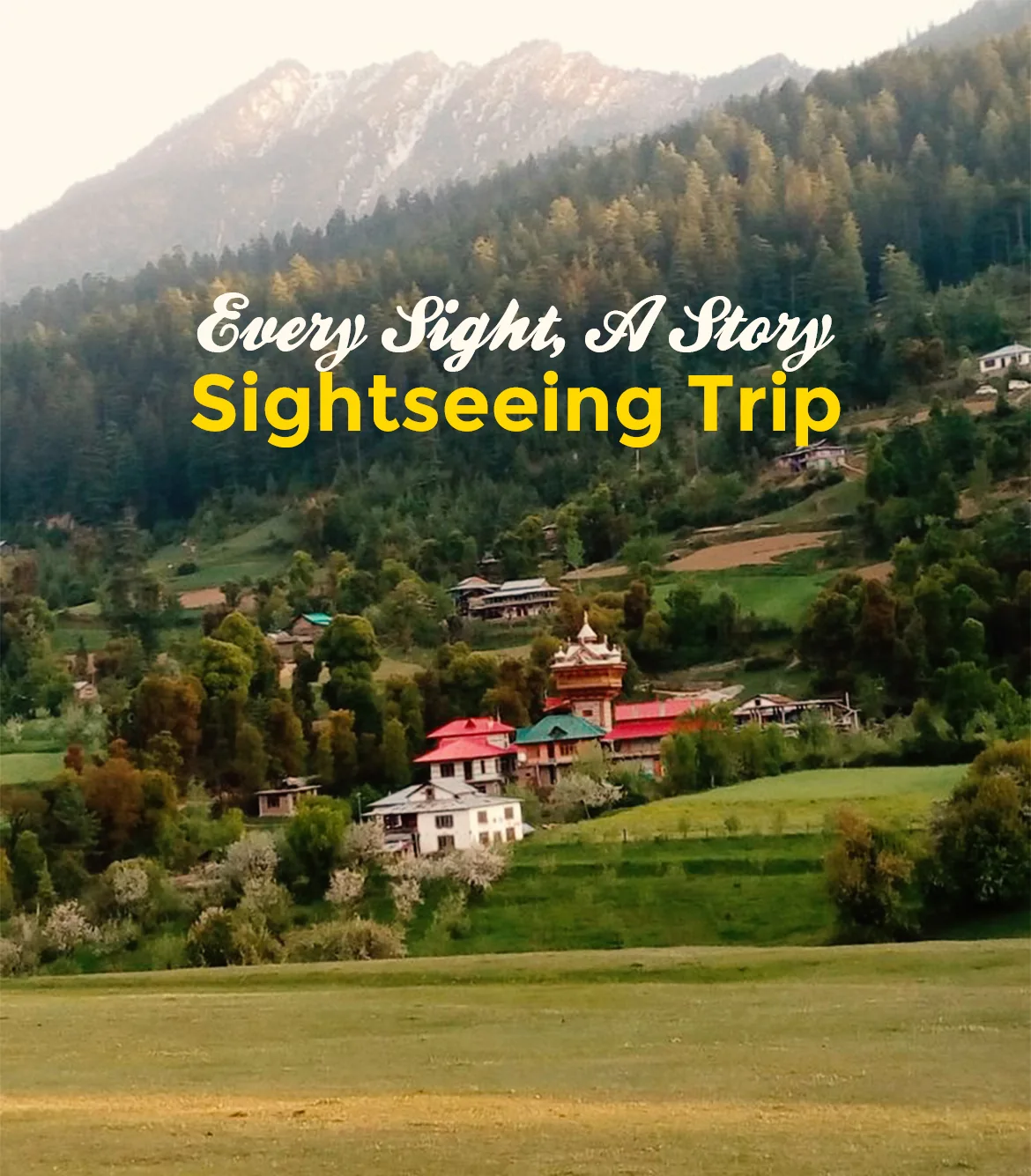 Haridwar to Lachhiwala Sightseeing Trip