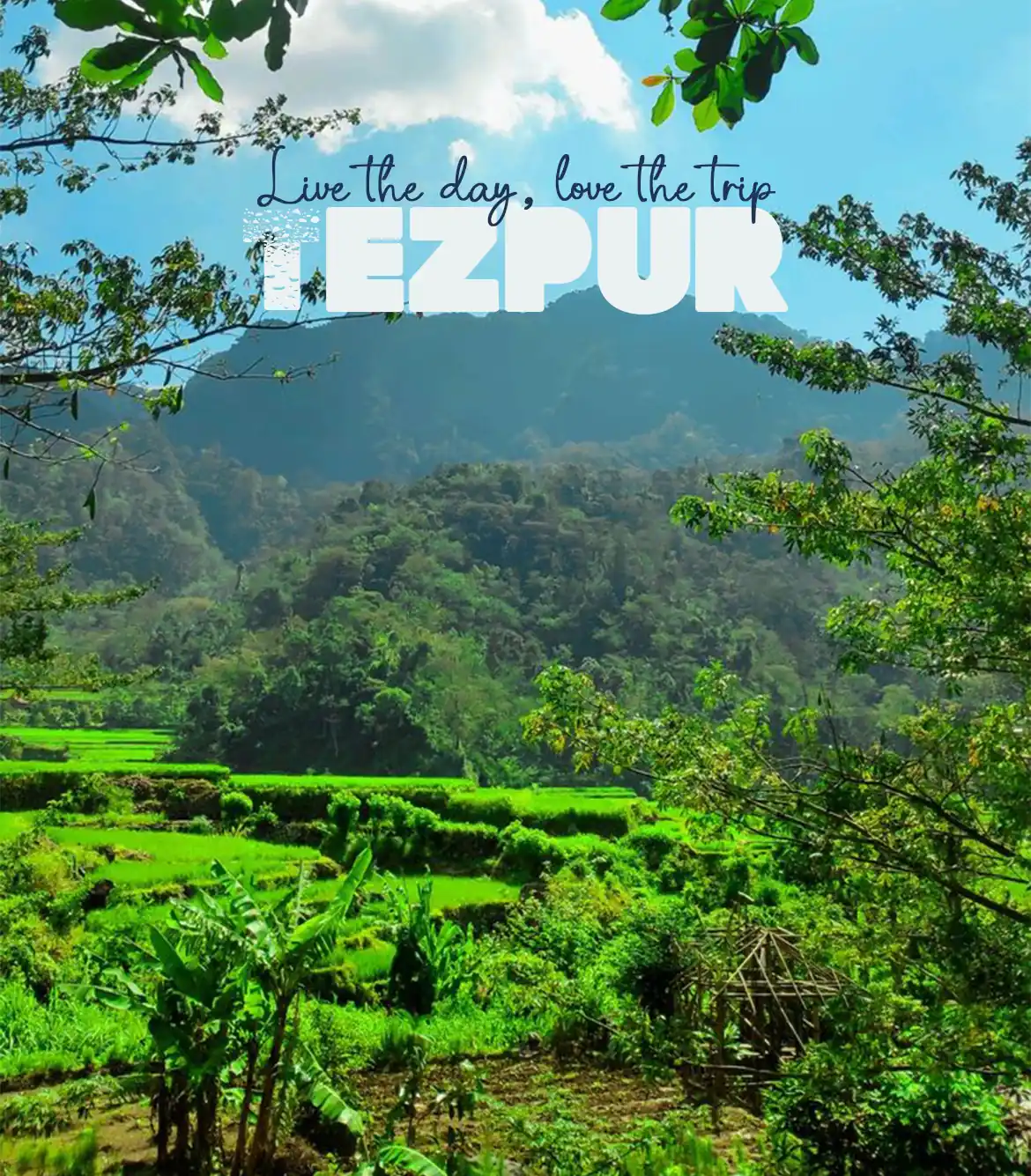 One Day Jorhat to Tezpur Sightseeing Trip