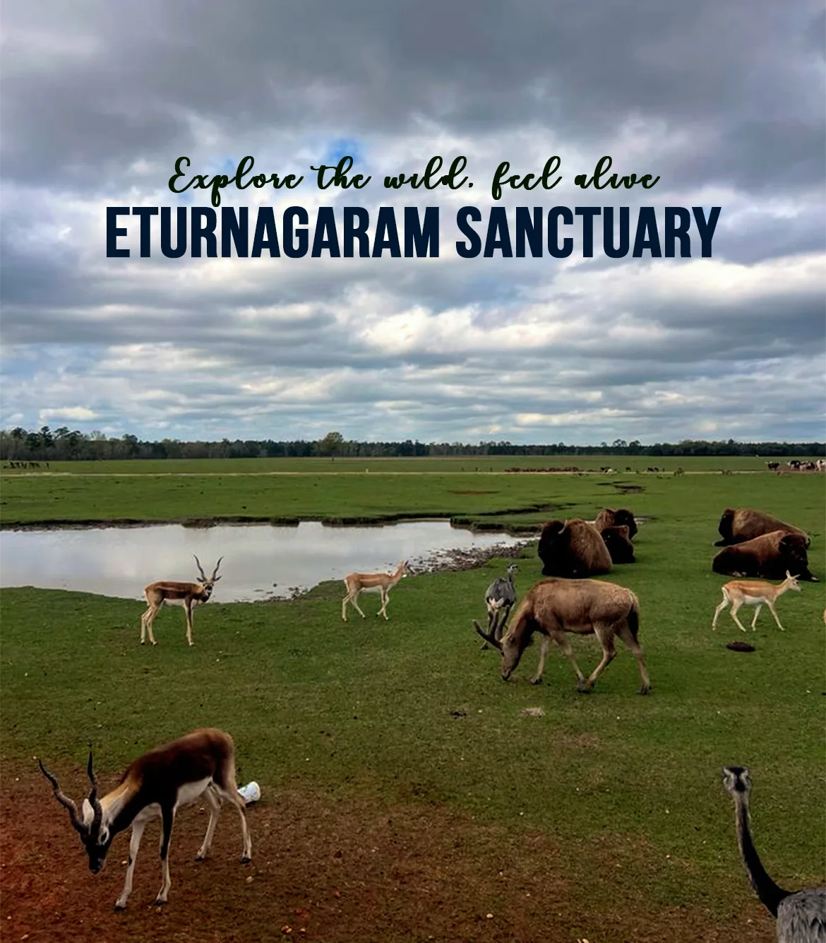 Vijayawada to Eturnagaram Sanctuary Day Trip