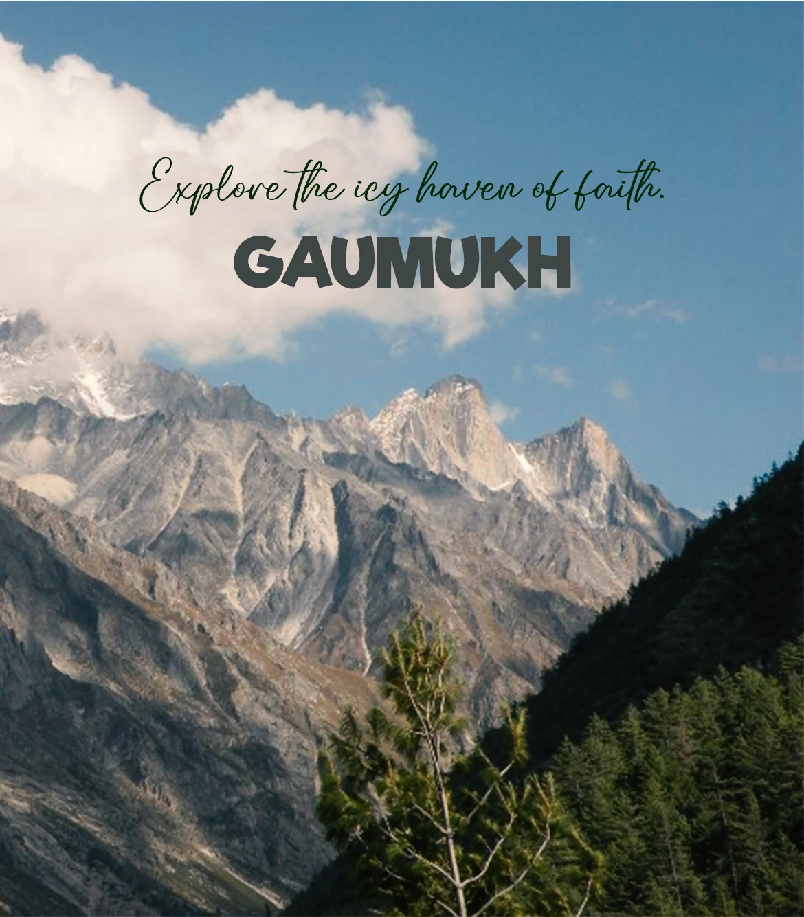 Rishikesh to Gaumukh Glacier Sightseeing Trip