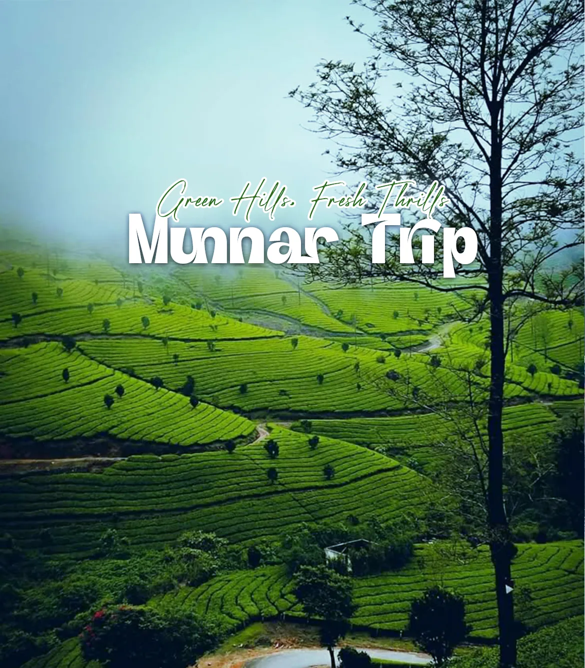 One Day Madurai to Munnar Trip