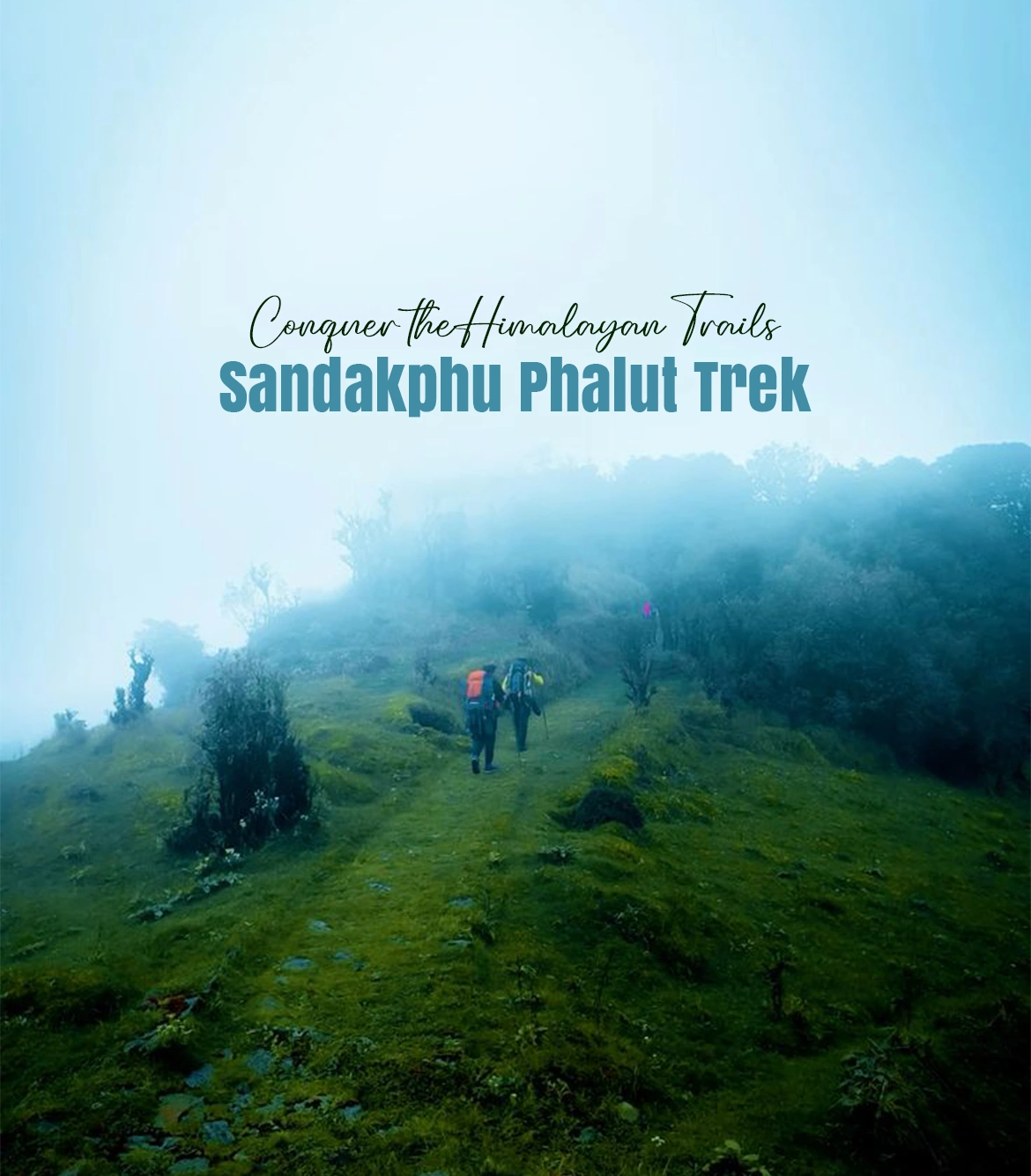 Sandakphu Phalut Trek