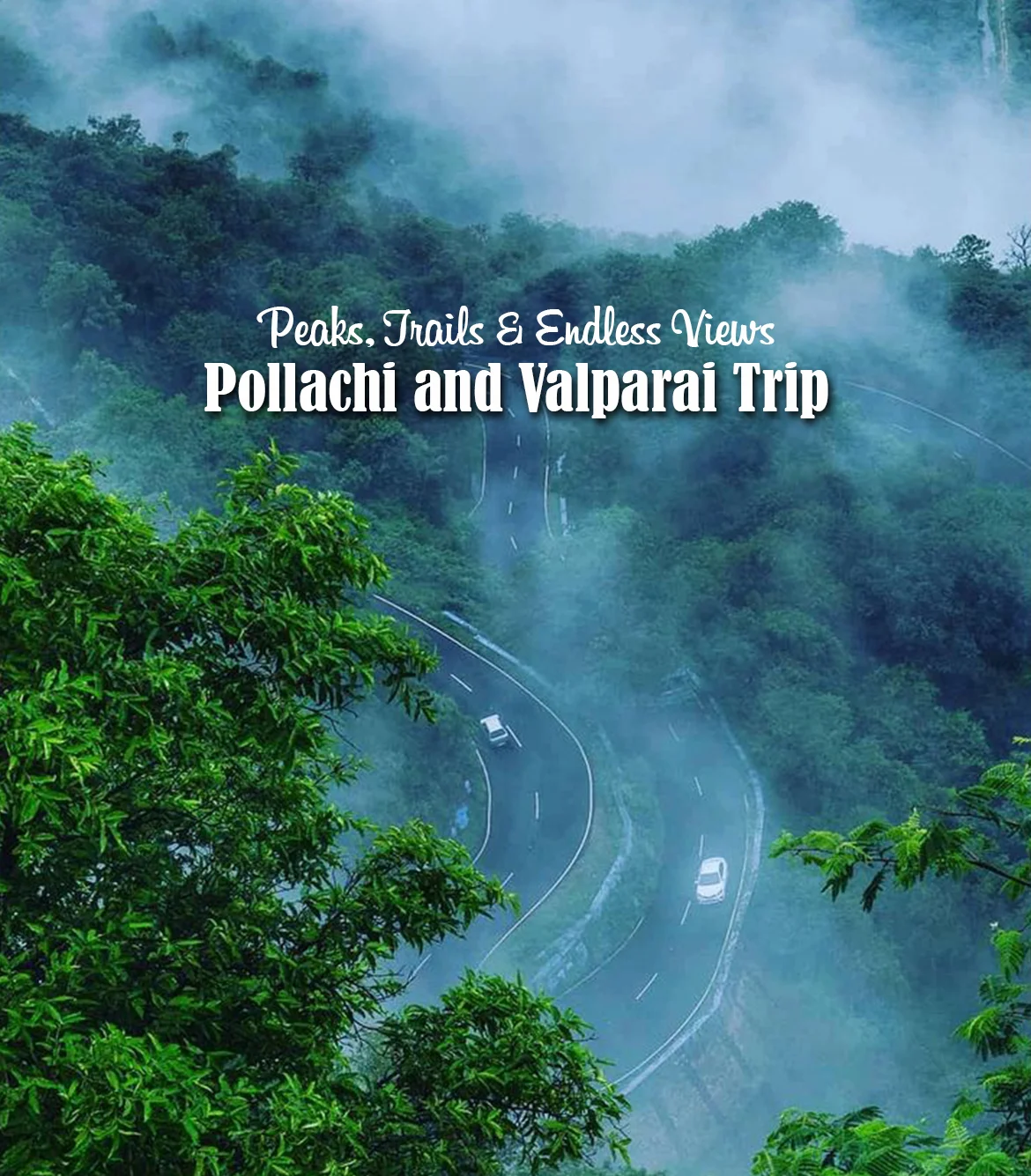 One Day Coimbatore to Pollachi and Valparai Trip