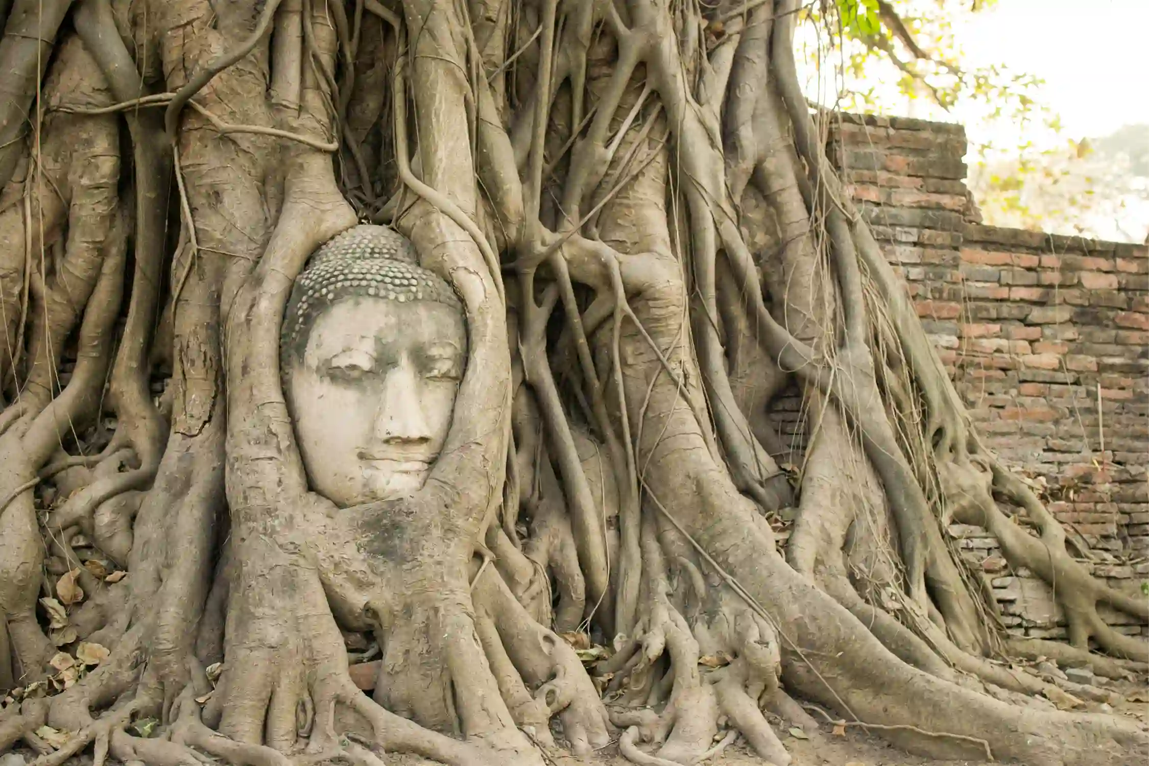 One Day Gaya Sightseeing Trip by Cab