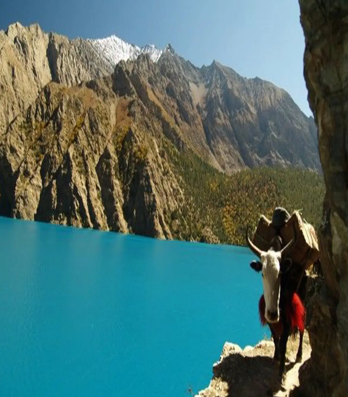 Upper Dolpo Circuit Trek Nepal