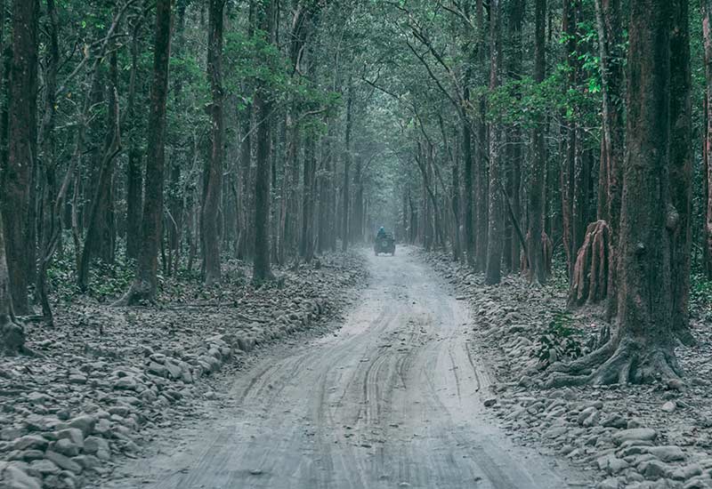 Offbeat Tour Of Corbett's Silent Valley