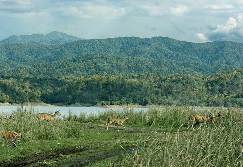 Offbeat Tour Of Corbett's Silent Valley