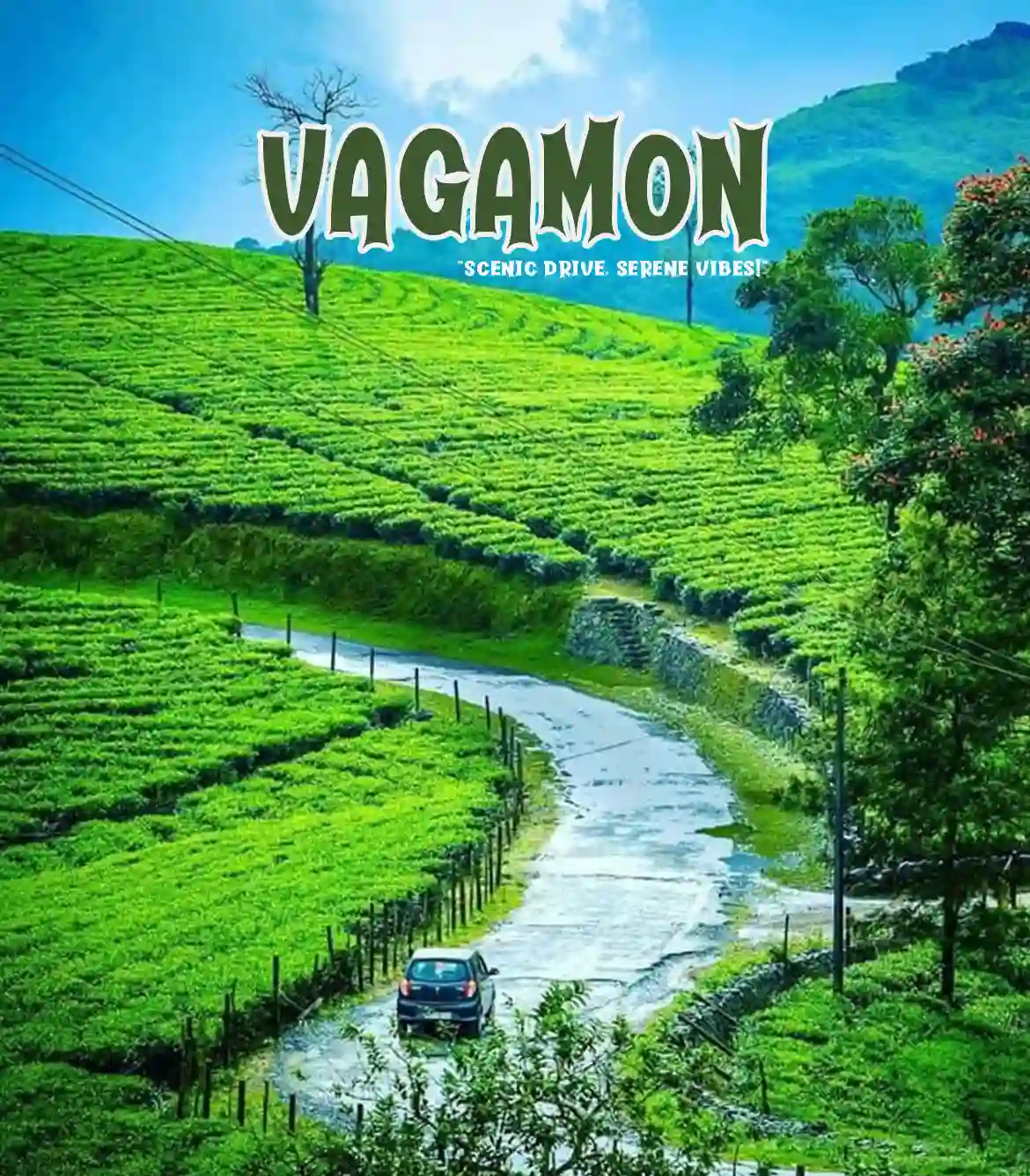 One Day Kochi to Vagamon Trip