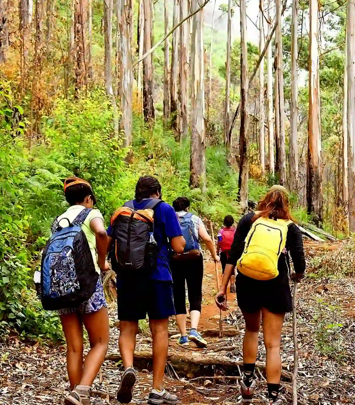 Vattakanal Vellagavi Trek
