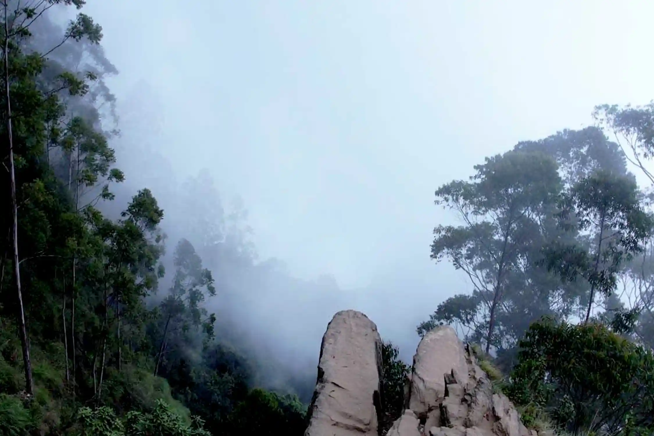 Vattakanal Vellagavi Trek