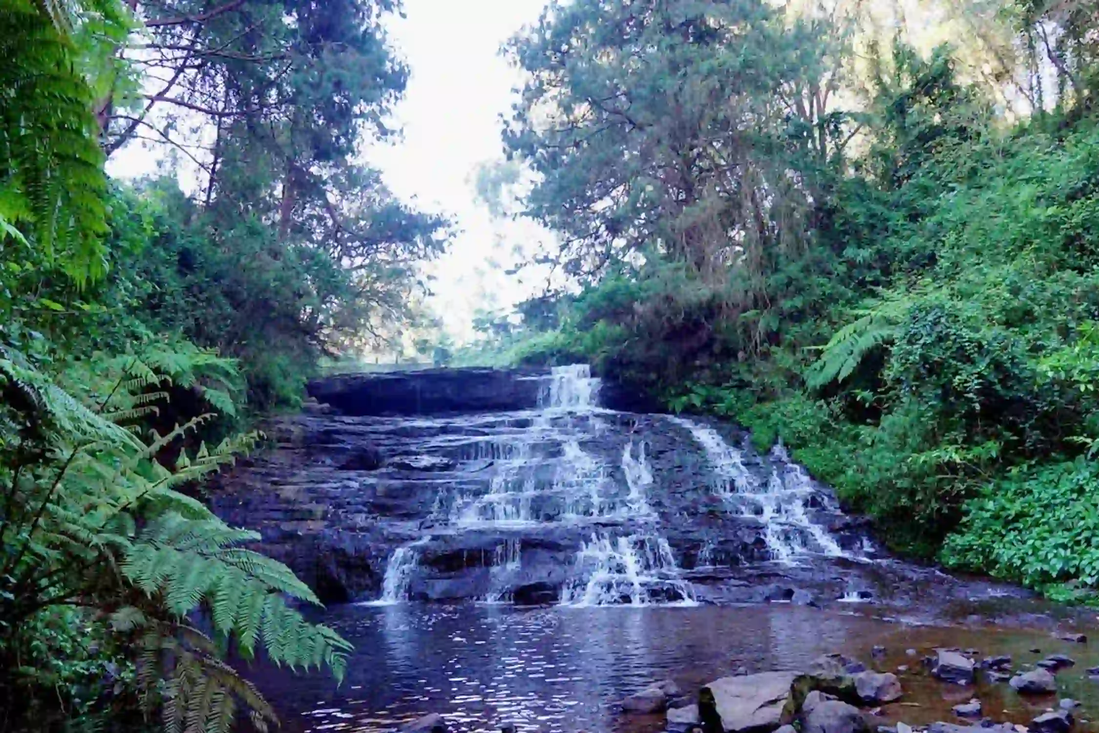Vattakanal Vellagavi Trek