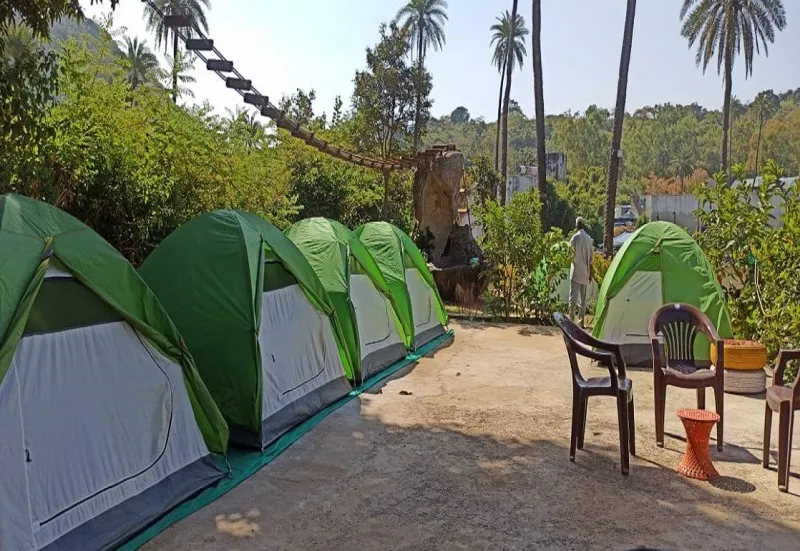 Forest Side Camping In Goa