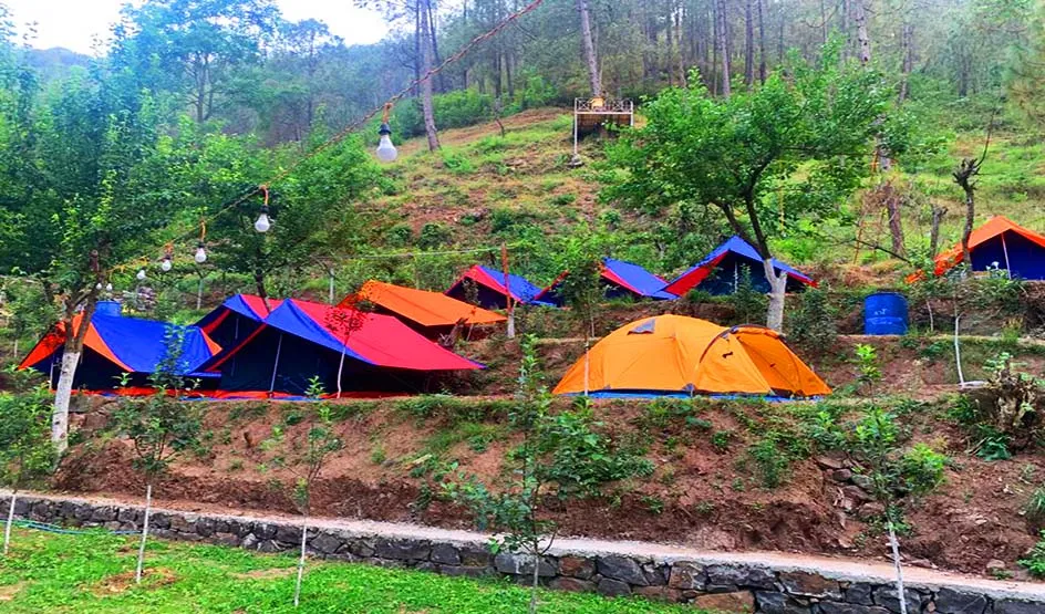 Jungle Camping in Kasauli with Adventure Activities