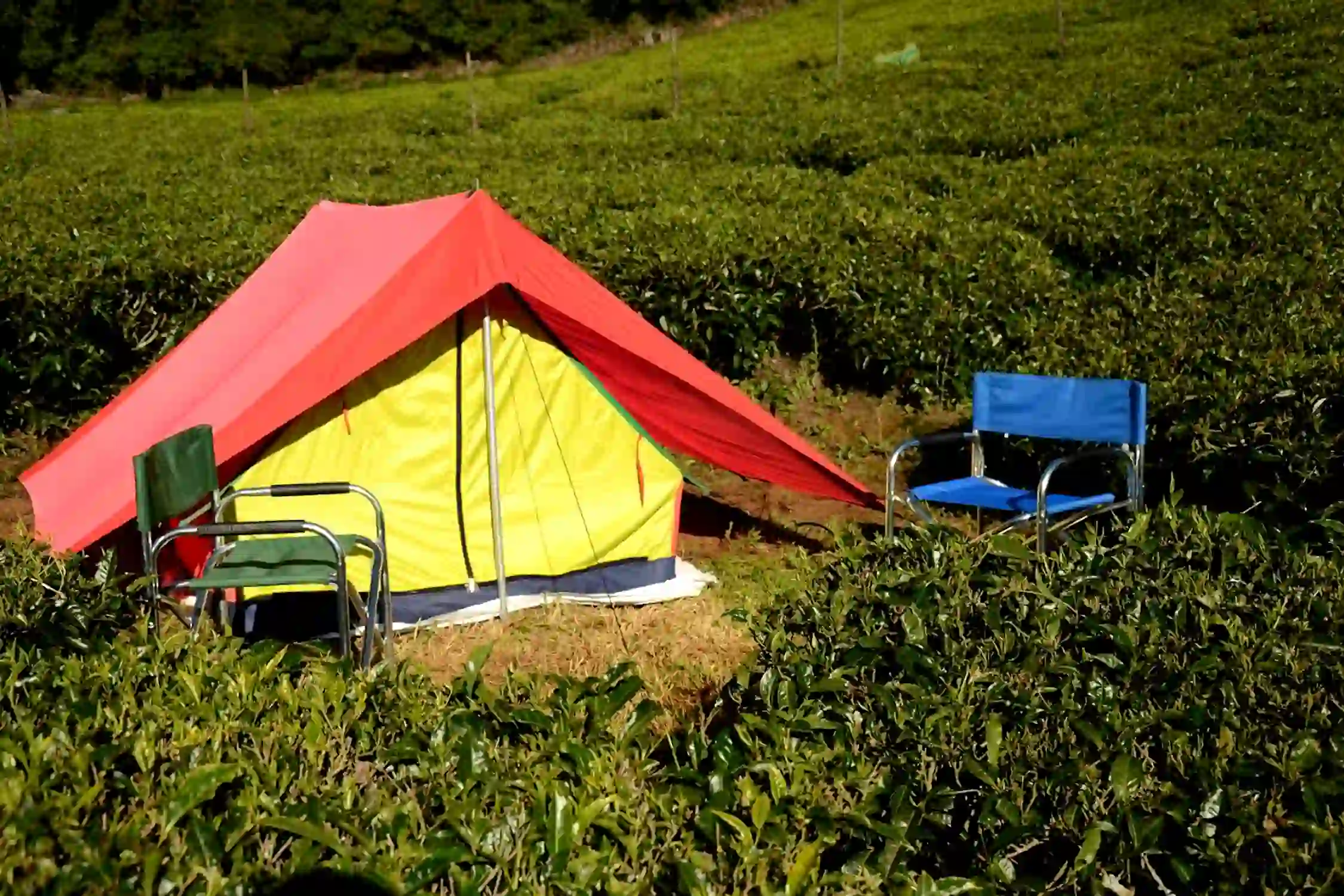 Wild and Free Camping Ooty