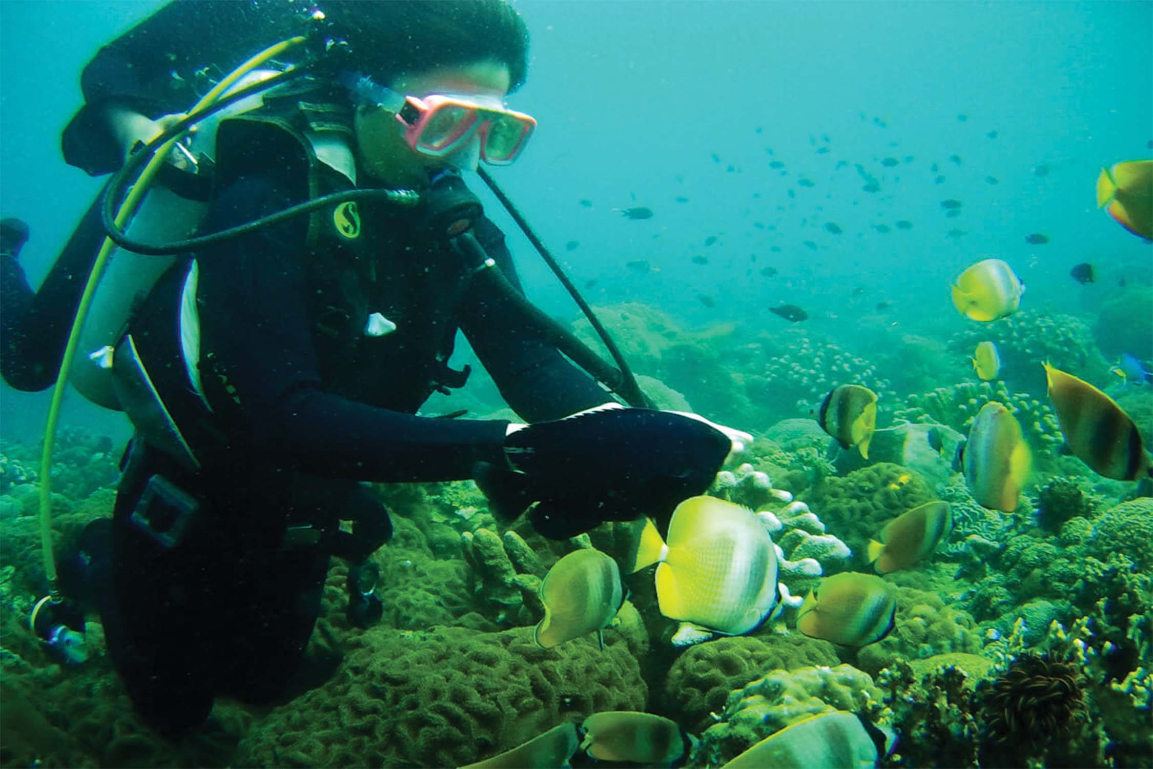 Scuba Diving in Ganpatipule