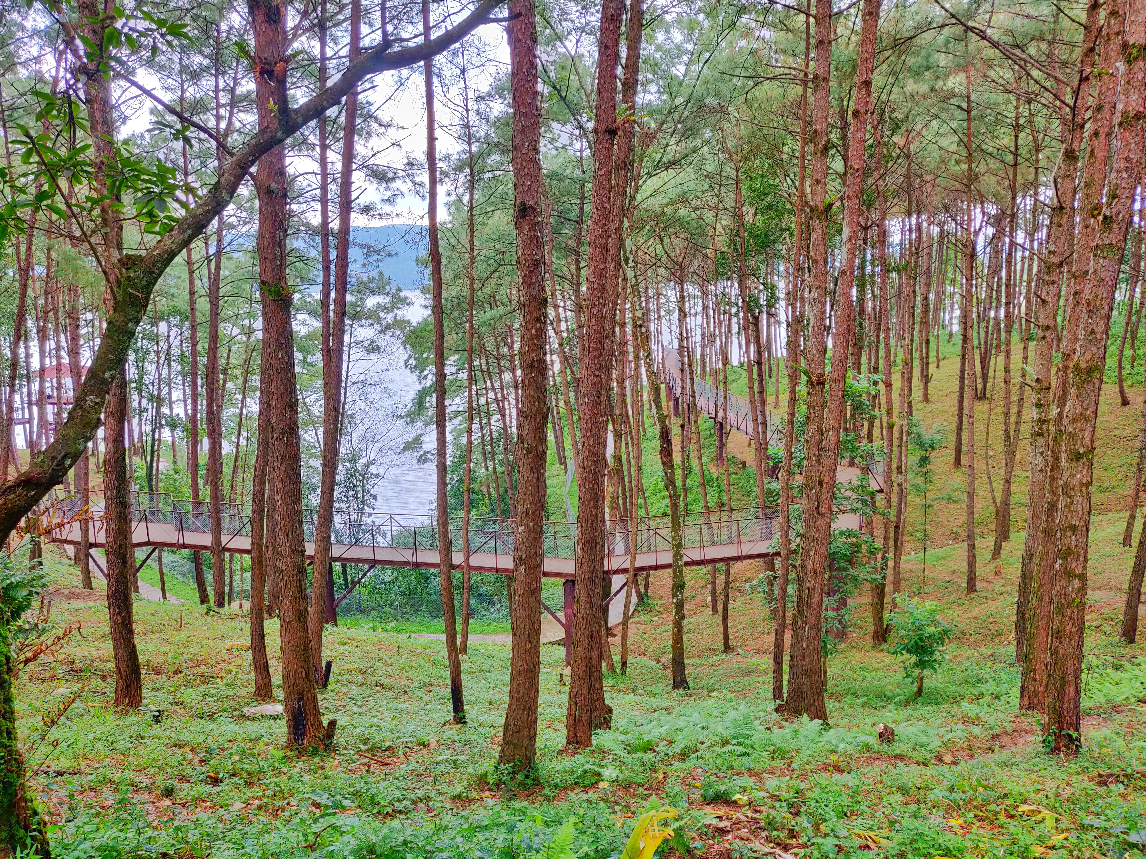 Excursion to Shillong  6 Days & 5 Nights