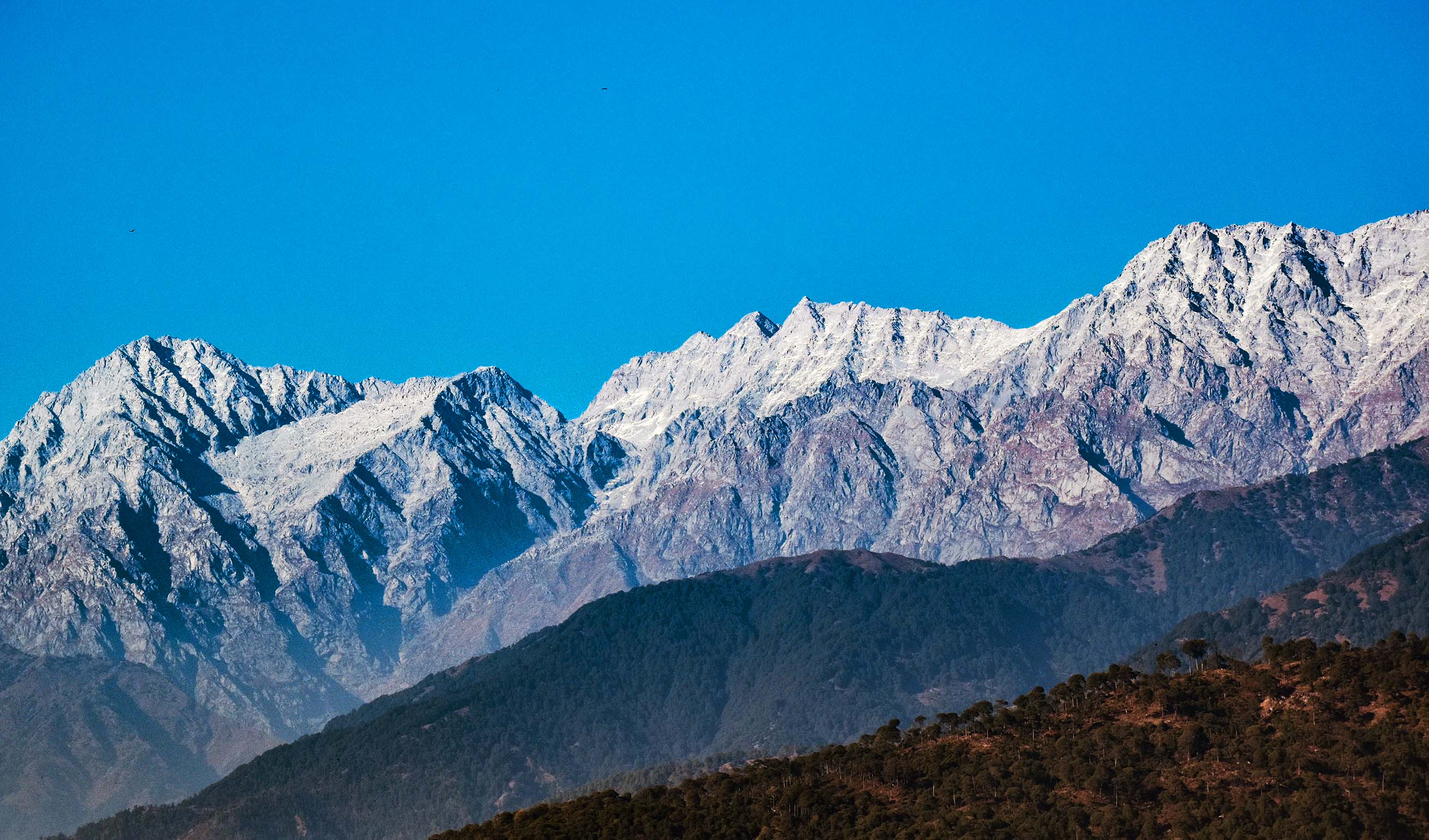 Winter Trek In Dhauladhar Range, Dalhousie