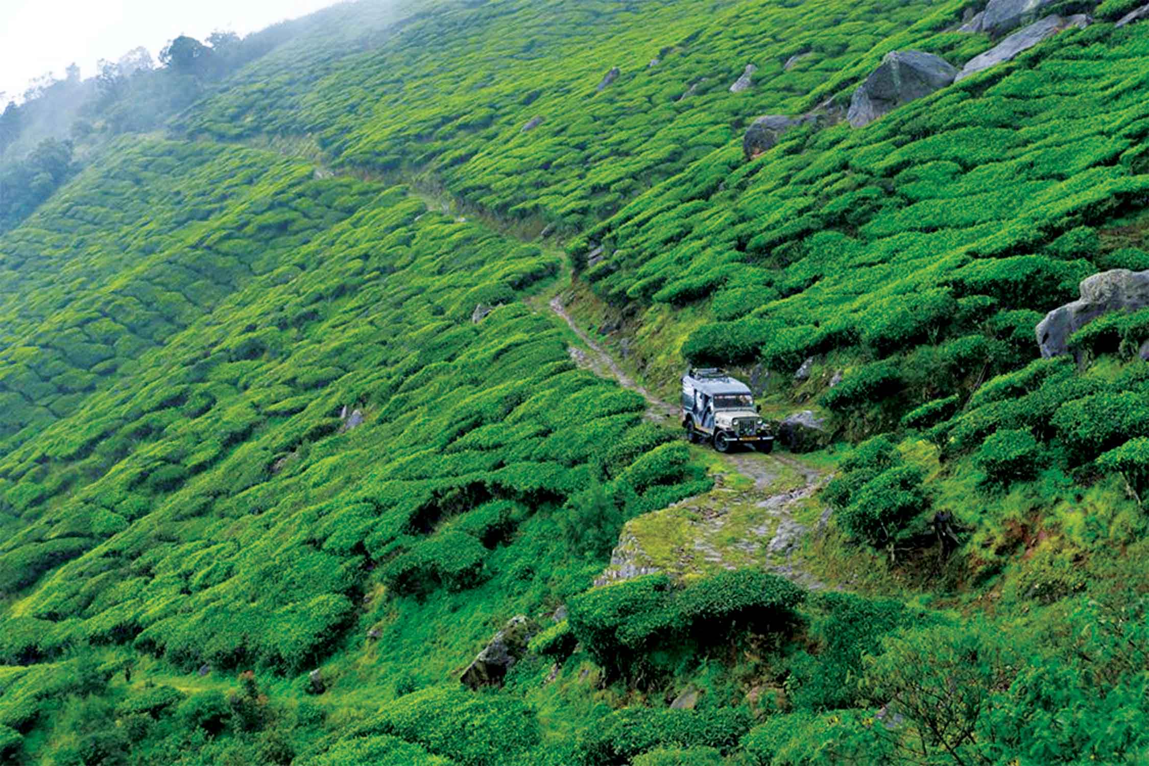 Camping at Suryanelli Munnar