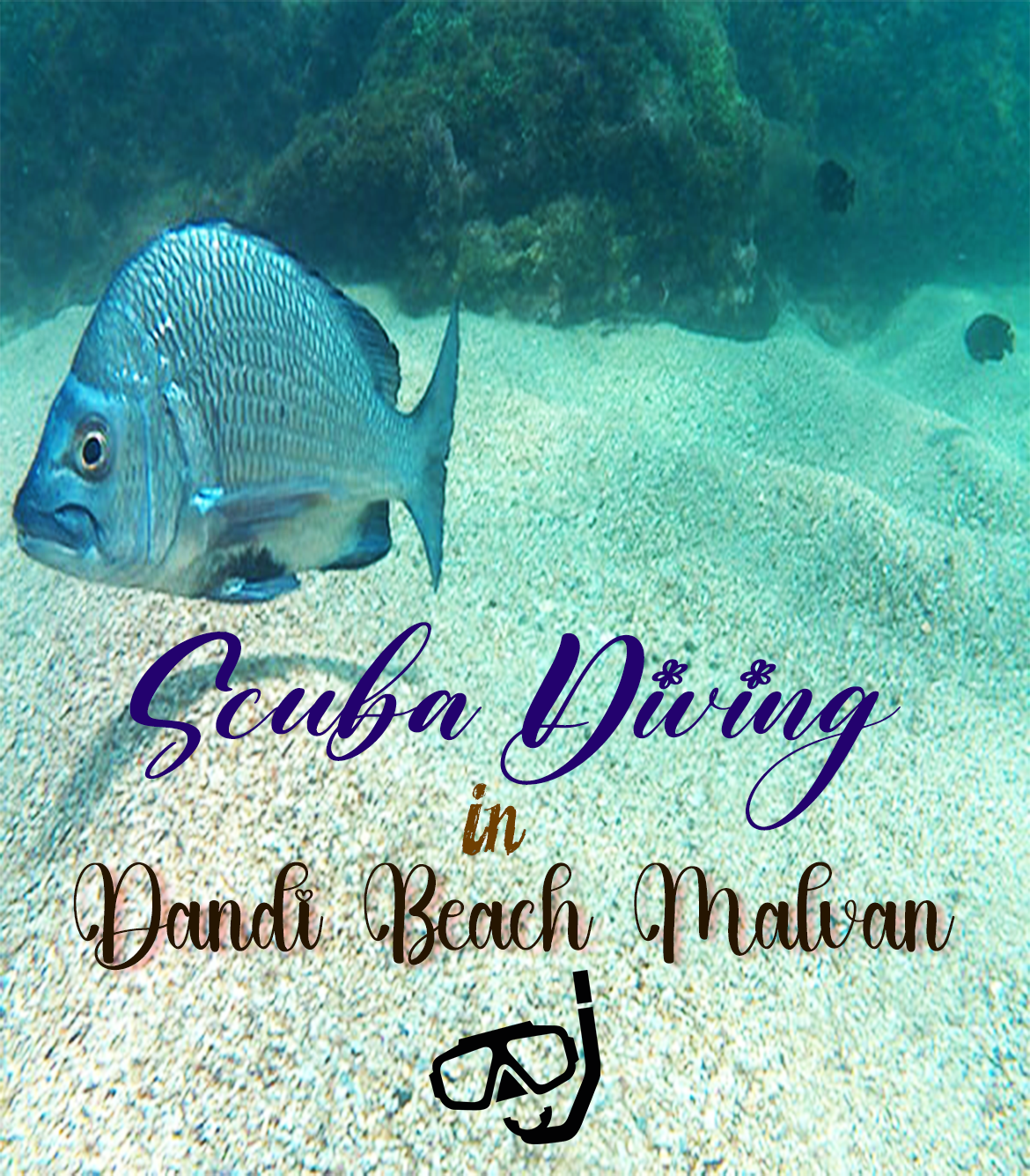 Scuba Diving in Dandi Beach Malvan