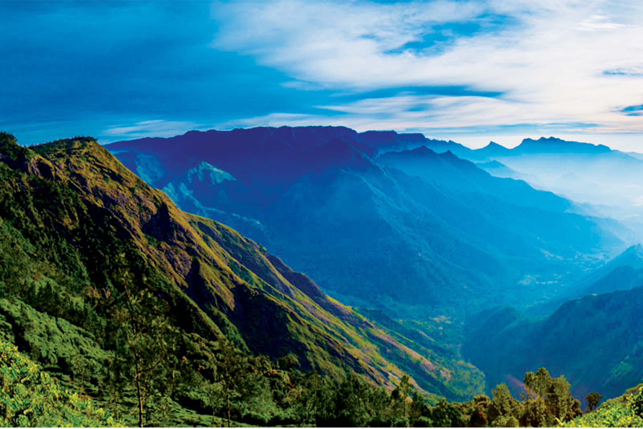 Camping at Suryanelli Munnar