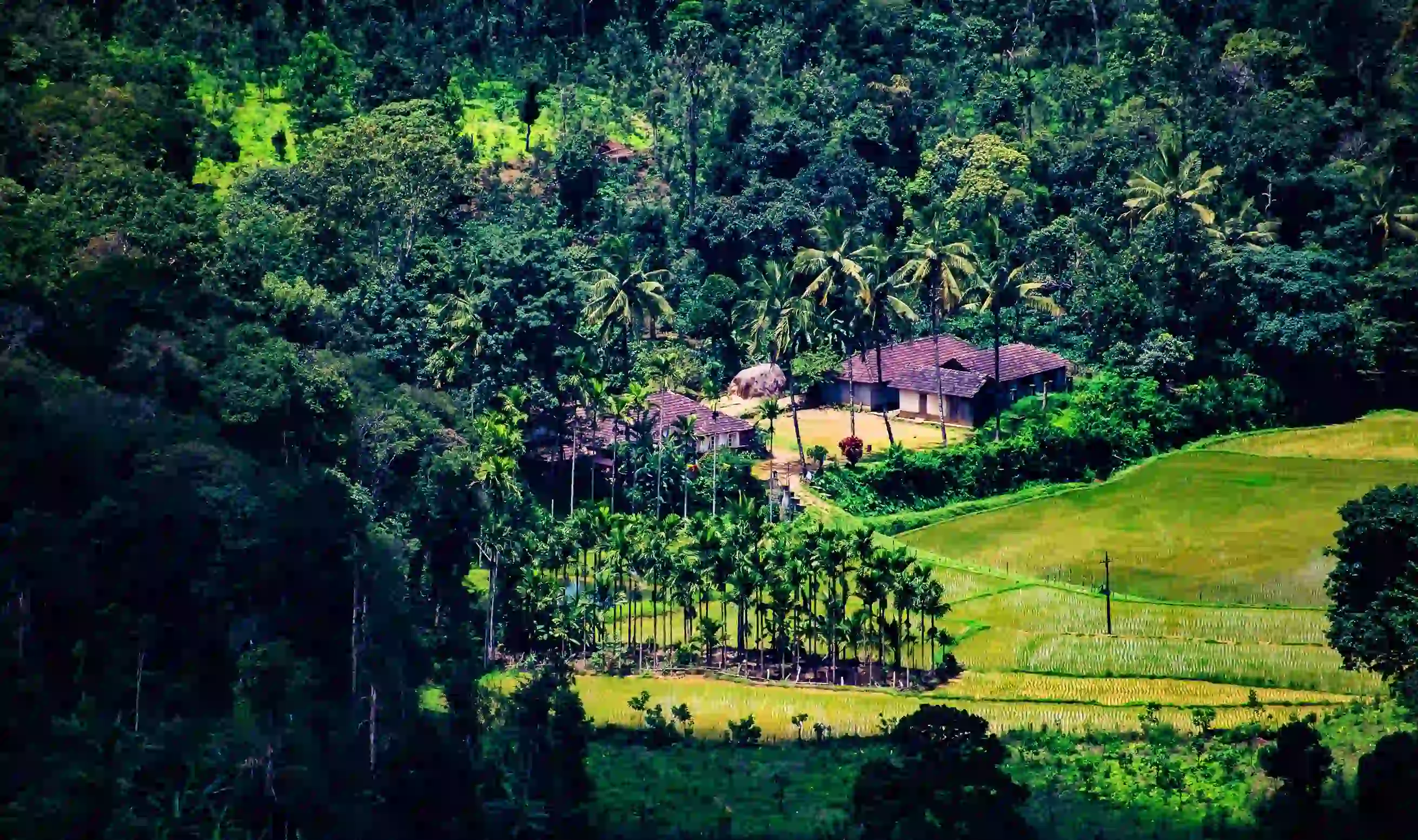 Lake Rafting in Coorg