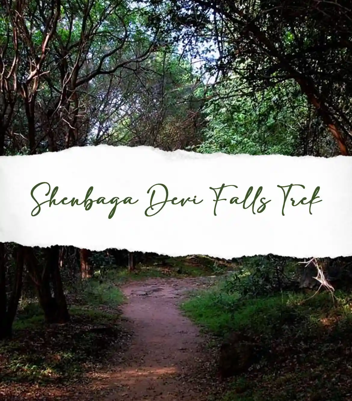 Shenbaga Devi Falls Trek
